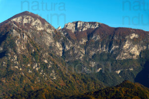 Photo of Monte Accellica