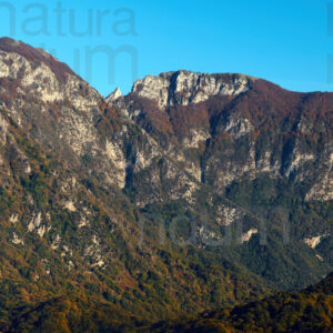 Photo of Monte Accellica